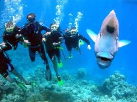 Jew Shoal Dive Site - Geraldton Accommodation 0