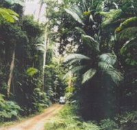 Conondale Great Walk - Geraldton Accommodation