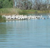 Lake Ross - Geraldton Accommodation