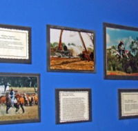 Town Hall Photographic Display - Geraldton Accommodation