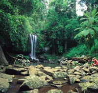 Tamborine National Park - Geraldton Accommodation