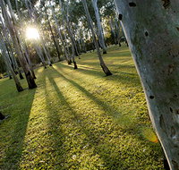 Tondoon Botanic Gardens - Geraldton Accommodation