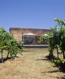Shantell Vineyard - Geraldton Accommodation 0