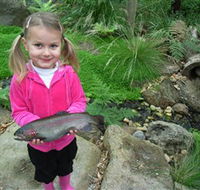 Wild Food Farm  Cafe - Geraldton Accommodation