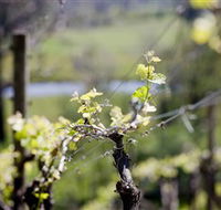 Downing Estate - Geraldton Accommodation