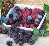 Bright Berry Farms - Geraldton Accommodation