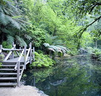 Alfred Nicholas Gardens - Geraldton Accommodation