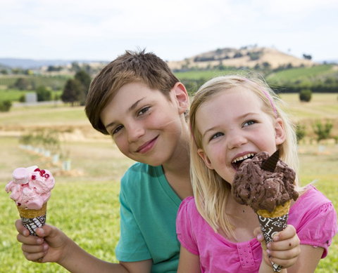 Yarra Valley Chocolaterie & Ice Creamery - Geraldton Accommodation 6