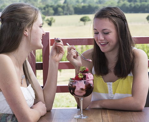 Yarra Valley Chocolaterie & Ice Creamery - Geraldton Accommodation 8