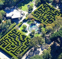 Ashcombe Maze  Lavender Gardens - Geraldton Accommodation