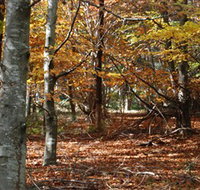 RJ Hamer Arboretum - Geraldton Accommodation