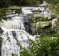 Agnes Falls Scenic Reserve - Geraldton Accommodation