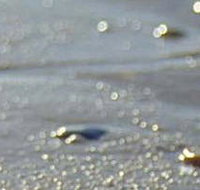 Cape Liptrap Coastal Park - Geraldton Accommodation