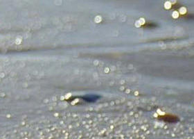 Cape Liptrap Coastal Park - Geraldton Accommodation 0