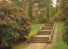 Maroondah Reservoir Park - Geraldton Accommodation 0