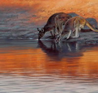 Steve Morvell Wildlife Art - Geraldton Accommodation