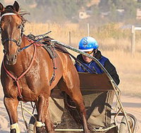 Ballarat  District Trotting Club - Geraldton Accommodation