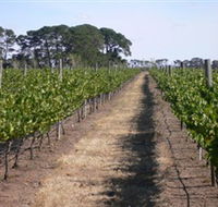 Mount Beckworth Wines - Geraldton Accommodation