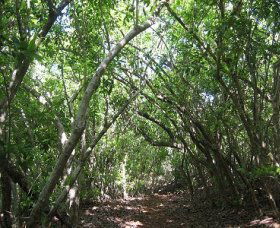 Durras North NSW Geraldton Accommodation