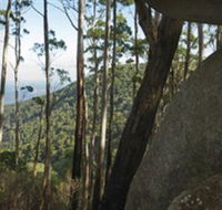Gulaga National Park - Geraldton Accommodation