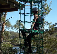 Trees Adventure Shoalhaven - Geraldton Accommodation