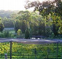 Lyrebird Ridge Organic Winery - Geraldton Accommodation