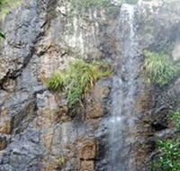 Wedding Bells Forest Drive - Geraldton Accommodation