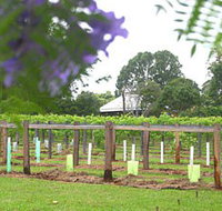 Douglas Vale Historic Homestead  Vineyard - Geraldton Accommodation