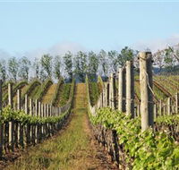 Philip Shaw Wines - Geraldton Accommodation