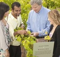Jacob's Creek Vineyard Tour - Geraldton Accommodation