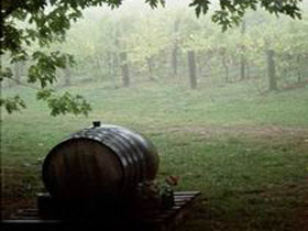 Arranmore Wines - Geraldton Accommodation 2