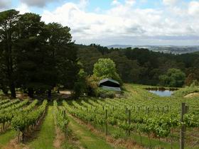 Arranmore Wines - Geraldton Accommodation 0