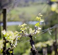 Barrgowan Vineyard - Geraldton Accommodation