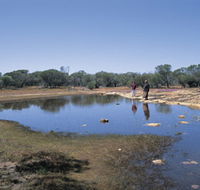 Camel Soak - Geraldton Accommodation