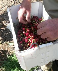 Mouat's Farm - Geraldton Accommodation 3