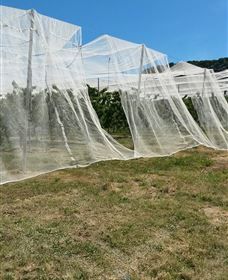 Mouat's Farm - Geraldton Accommodation 5