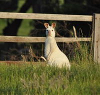 Panorama Garden Estate - Geraldton Accommodation