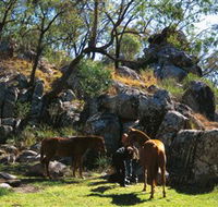 Coomba Falls - Geraldton Accommodation