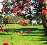 The Yass Golf Club - Geraldton Accommodation