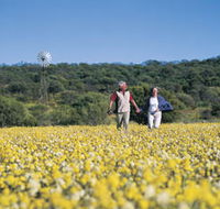 Koolanooka Springs - Geraldton Accommodation