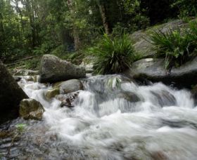 Washpool National Park - Geraldton Accommodation 0