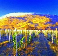 Surveyors Hill Winery - Geraldton Accommodation