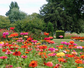 Alma Park - Geraldton Accommodation 0