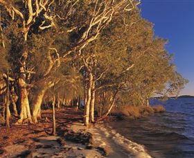East Coast Adventure Bus - Geraldton Accommodation 2