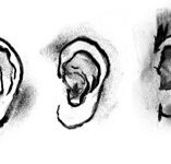 DAB LAB Research Gallery - Geraldton Accommodation