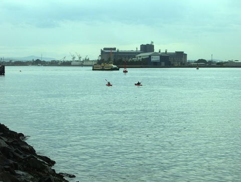 Newcastle Kayak Tours - Geraldton Accommodation 5