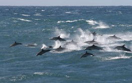 Geraldton Accommodation