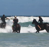 Pegasus Park Equestrian Centre - Geraldton Accommodation