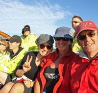 Byron Bay Whale Watching - Geraldton Accommodation