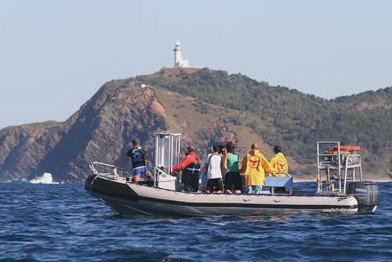 Byron Bay Dolphin Wildlife Tours - Geraldton Accommodation 1